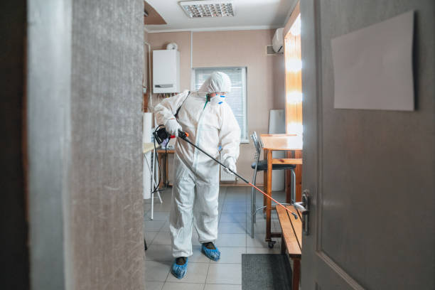 Best Industrial Mold Remediation  in Kersey, CO